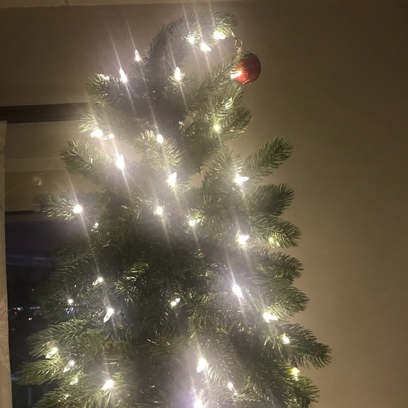 Meet your Posher, Mariah - Picture 1 of 4